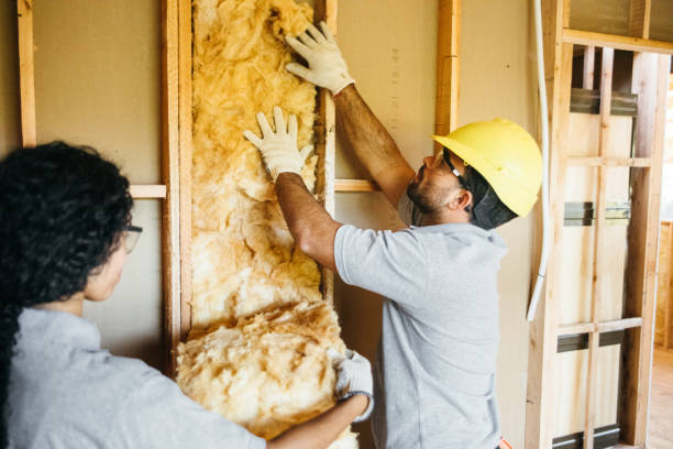 Best Radiant Barrier Insulation  in Bloomfield Hills, MI